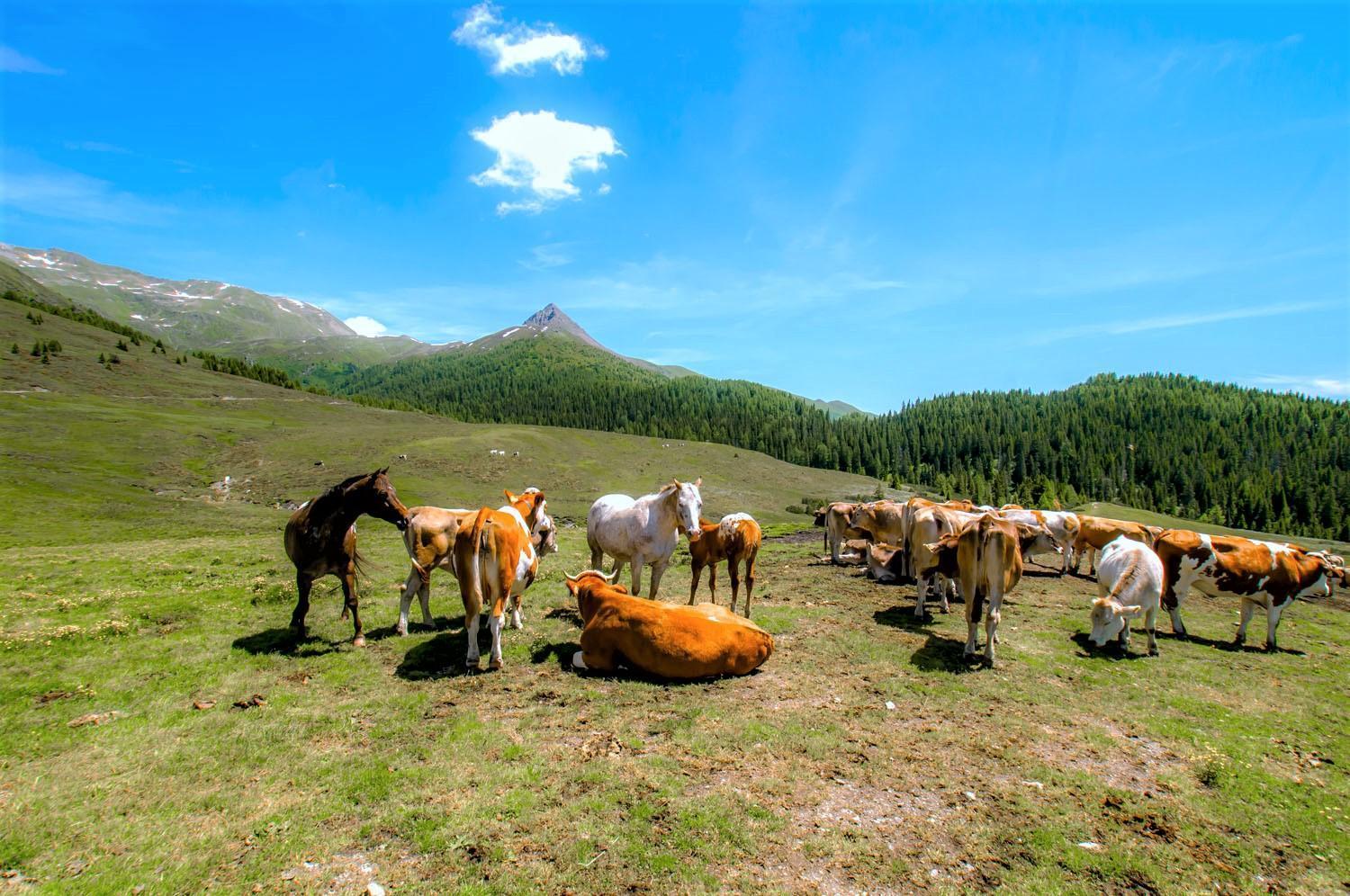 Hotel Brenta Dolomites Vason Exterior foto